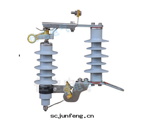 YH5WS-17/50DL跌落式避雷(léi)